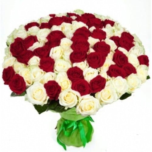 101 красно-белая роза 60 см