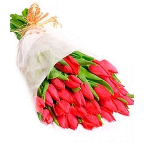 Тюльпаны 25 штук Любовь