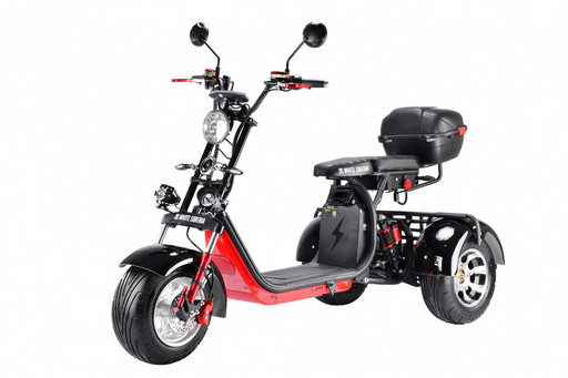 Трехколесный электроскутер WS-pro 3000W TRIKE+