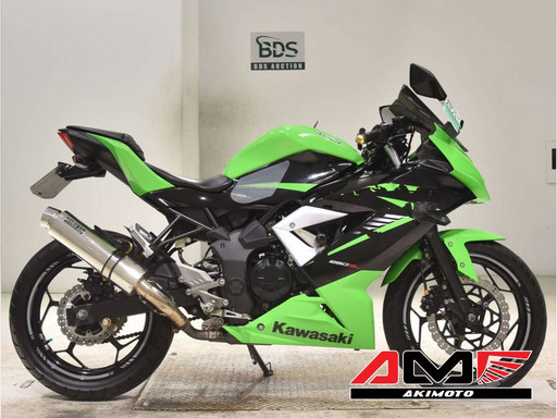 Мотоцикл Kawasaki NINJA250SL