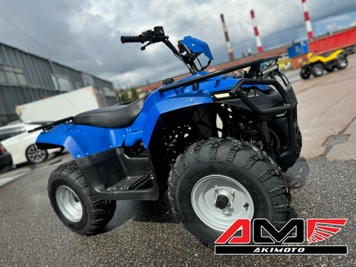 Квадроцикл IRBIS ATV250