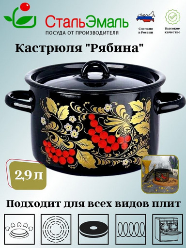 Кастрюля цил. 2,9л 1с16с/1 черн. Рябина