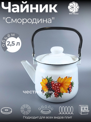 Чайник для плиты 2,5 л 01-2711/4-Смородина