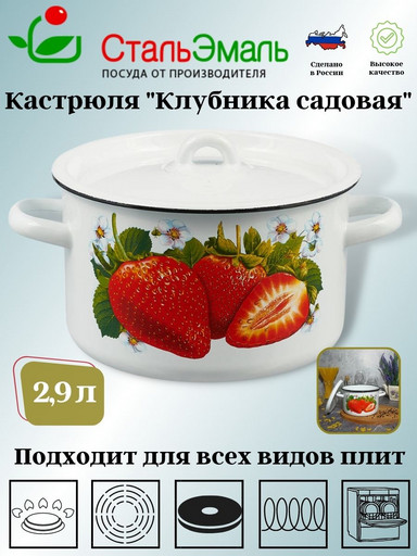 Кастрюля 2,9л цил. 1с16с/1 белосн. Клубника садовая