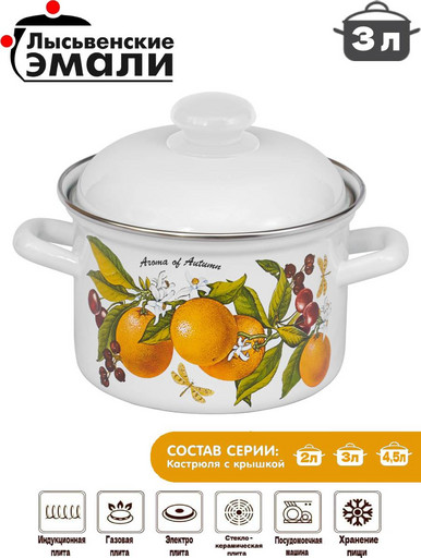 Кастрюля 3,0л 16124 АП2 "Фруктовая фантазия"
