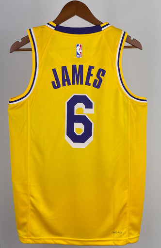Джерси NBA Los Angeles Lakers 'James 6' ICON