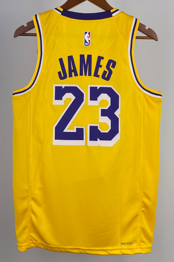 Джерси NBA Los Angeles Lakers 'James 23' ICON