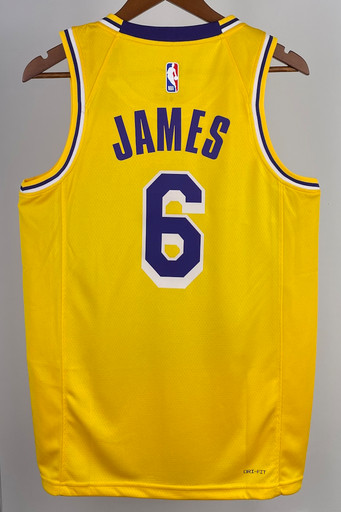 Джерси NBA Los Angeles Lakers 'James 6' ICON