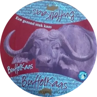 Твёрдый сыр Буффелкаас из молока буйволицы (Buffelkaas)
