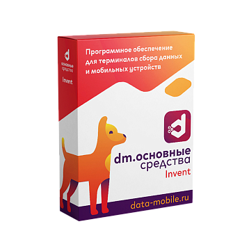 DM.Основные средства: Invent 12 месяцев