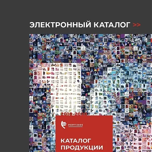 Электронный каталог Электронный каталог