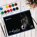 Альбомы и папки для рисования