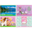 Альбомы и папки