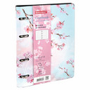 Тетради на кольцах и сменные блоки к ним