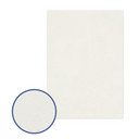 Картон грунтованный