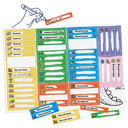 Портфолио, расписания уроков, закладки