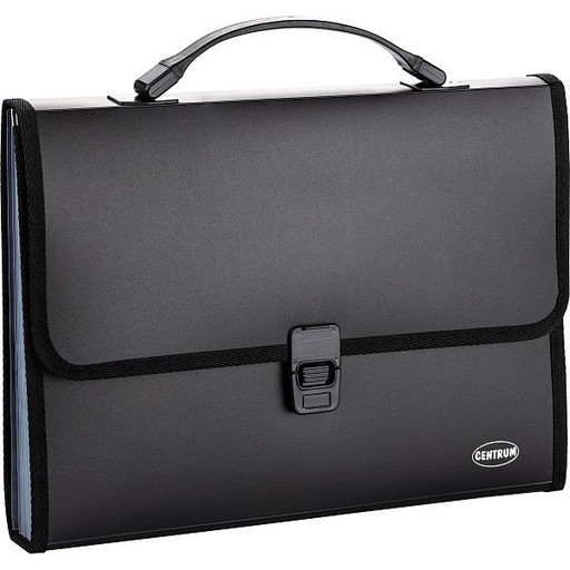 Папка-портфель А4, 2 отд., PP 700 мкм, замок-защелка, CENTRUM_6 дизайнов