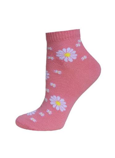 Брестские Носки детские 3085 SCHOOL (с рисунком)19-20