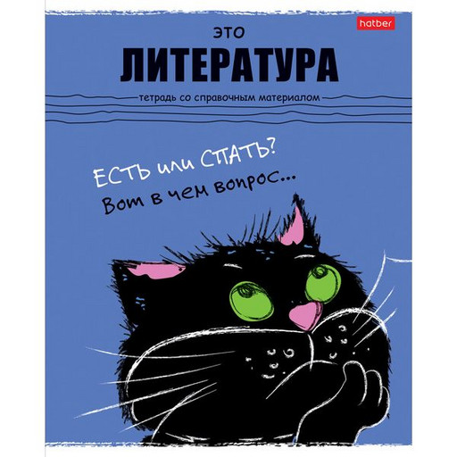 Тетрадь предметная 48 л., линия, Hatber Черный кот. Литература, 65 г/м2, скруг. углы