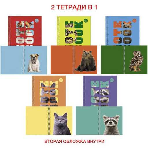 Тетрадь на гребне, 96 л., клетка, Listoff Зоо микс, двойная обложка, мел. картон, уф-лак, 5 дизайнов