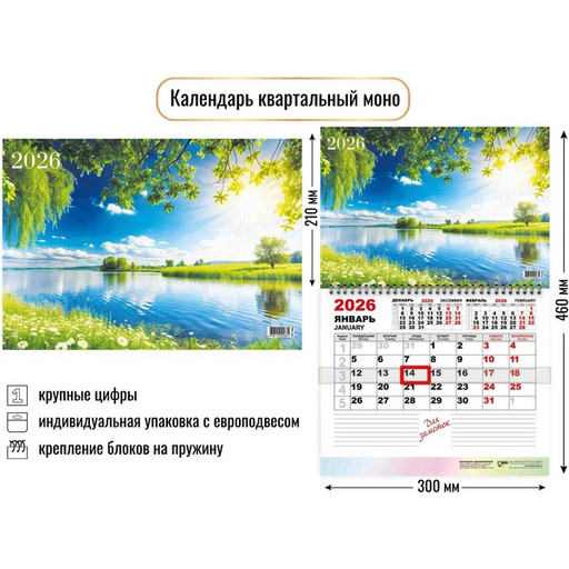 Календарь настенный перекидной 2026 г. (квартальный моно) Природа, 300*460 мм, на гребне