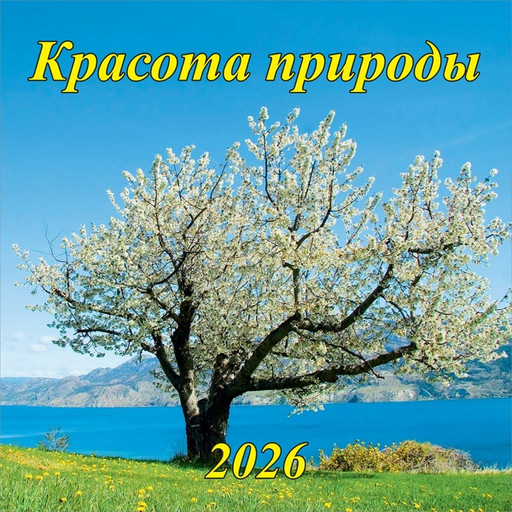 Календарь настенный перекидной 2026 г. (квартальный моно) Красота природы, 285*285 мм, на скобе