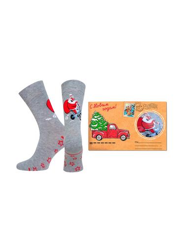 Брестские Носки мужские 2146Е CLASSIC (упакованы в конверт)40-42