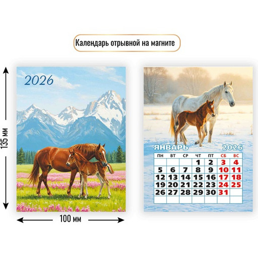 Календарь настенный отрывной 2026 г. Символ года: 100*135 мм, магнит. основа