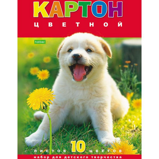 Картон цветной мелованный 10 цв., 10 л., А4, 1-ст., в папке, Hatber ECO Белый щенок