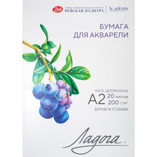 Папка для акварели, А2, 20 л., 200 г/м², цв: белый, ср. зерно, целлюлоза 100%, ЛАДОГА