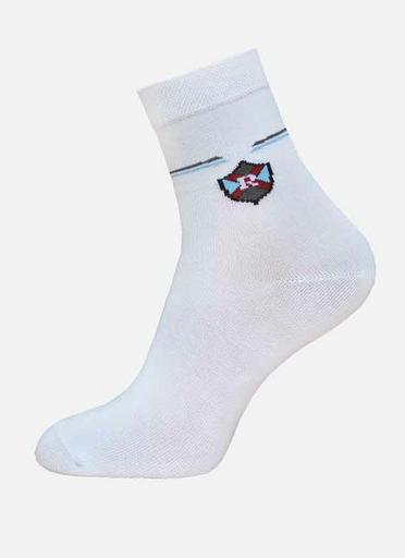 Брестские Носки детские 3081 SCHOOL (с рисунком)