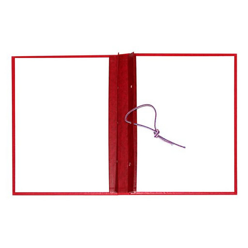 Папка для дипломных работ БЕЗ НАДПИСИ, А4, на шнуровке, бумвинил, красная Канцбург (без листов)
