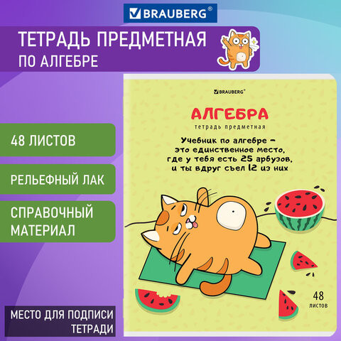 Тетрадь предметная "КОТ-ЭНТУЗИАСТ" 48 л., TWIN-лак, АЛГЕБРА, клетка, подсказ, BRAUBERG, 404556