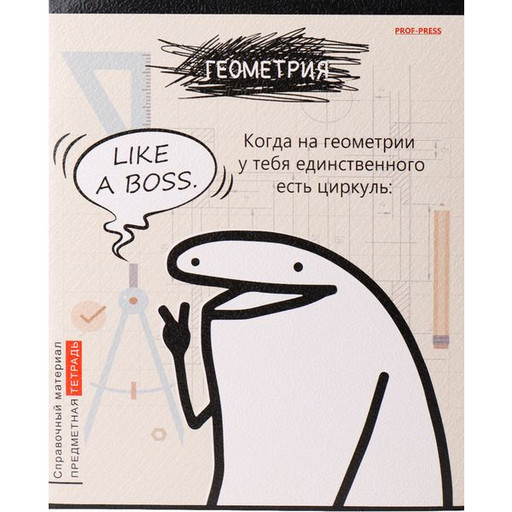 Тетрадь предметная 48 л., клетка, Prof-Press Школьные мемасики. Геометрия, тиснение "холст"