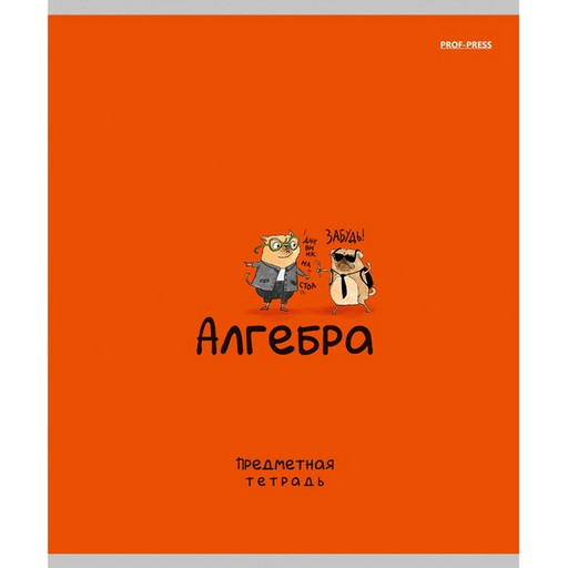 Тетрадь предметная 48 л., клетка, 60 г/м², обл. мел. картон, "лен", Prof-Press Mini Friends_Алгебра