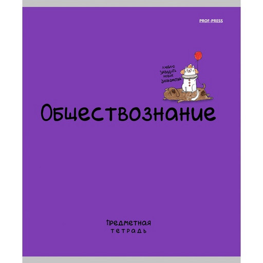 Тетрадь предметная 48 л., клетка, 60 г/м², обл. мел. картон, "лен", Prof-Press Mini Friends_Обществознание