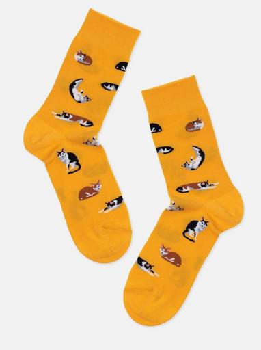 Брестские Носки 4200 PETS (средней длины)36-39