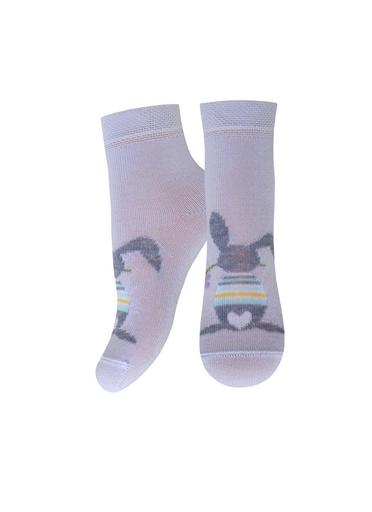 Брестские Носки детские 3081 BABY11-12