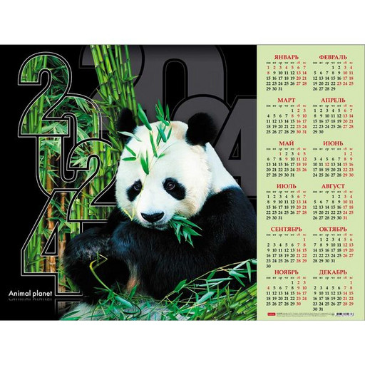 Календарь настенный листовой 2024 г. Милая панда, А2, укрупненная сетка