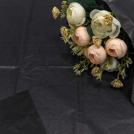 000102/23 Бумага в листах "Тишью" 50*66 (10 шт.) 27г Чёрный 1/120