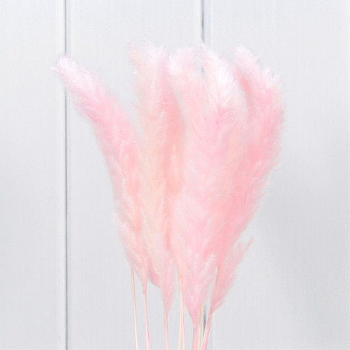 420061/3 Сухоцветы "Тростник" (10 шт.) Розовый 1/250