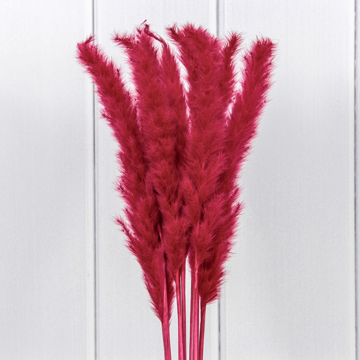 420061/4 Сухоцветы "Тростник" (10 шт.) Красный 1/250