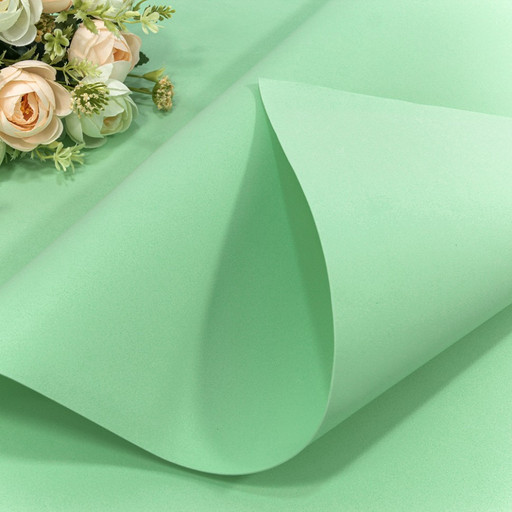 2020/32 Фоамиран в листах 1мм 70*60 (10 шт.) Салатовый 1/25