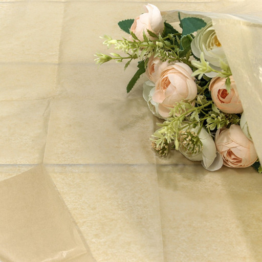 000100/36 Бумага в листах "Тишью" 50*66 (10 шт.) Оливково-серый 1/250