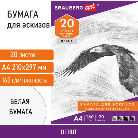 Папка для рисования А4, 20 л., 160 г/м2, BRAUBERG, 210х297 мм, "Орел", 125230