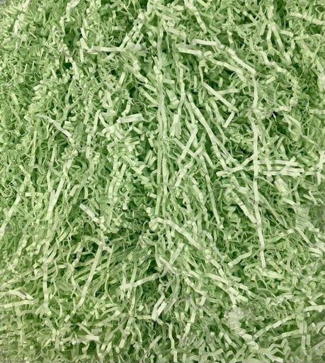 006009 Наполнитель Бумажный Светло-зелёный 1/200г 1/25