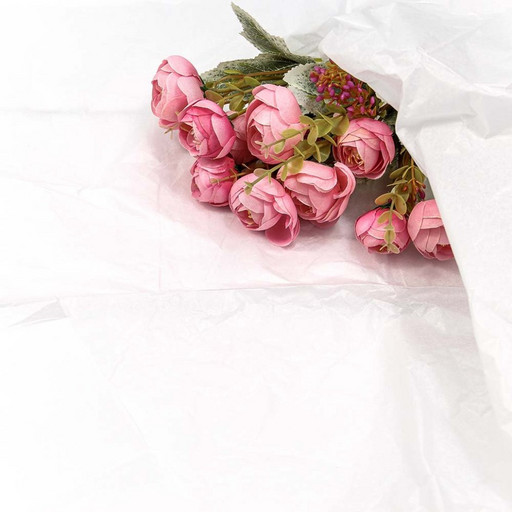 0001101/1 Бумага в листах "Тишью" 50*66 (50 шт.) Белый 1/50