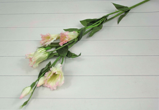 303-01-11/8 Искусственные цветы Лизиантус Бежевый/Розовый 80см 1/1