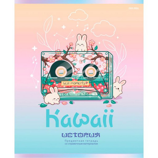 Тетрадь предметная 48 л., клетка, Prof-Press Kawaii. История, выборочный лак, soft touch