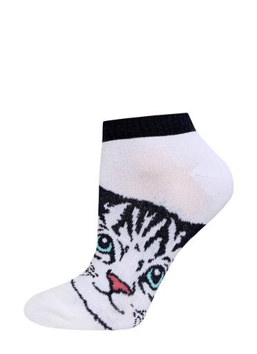 Брестские Classic 1105